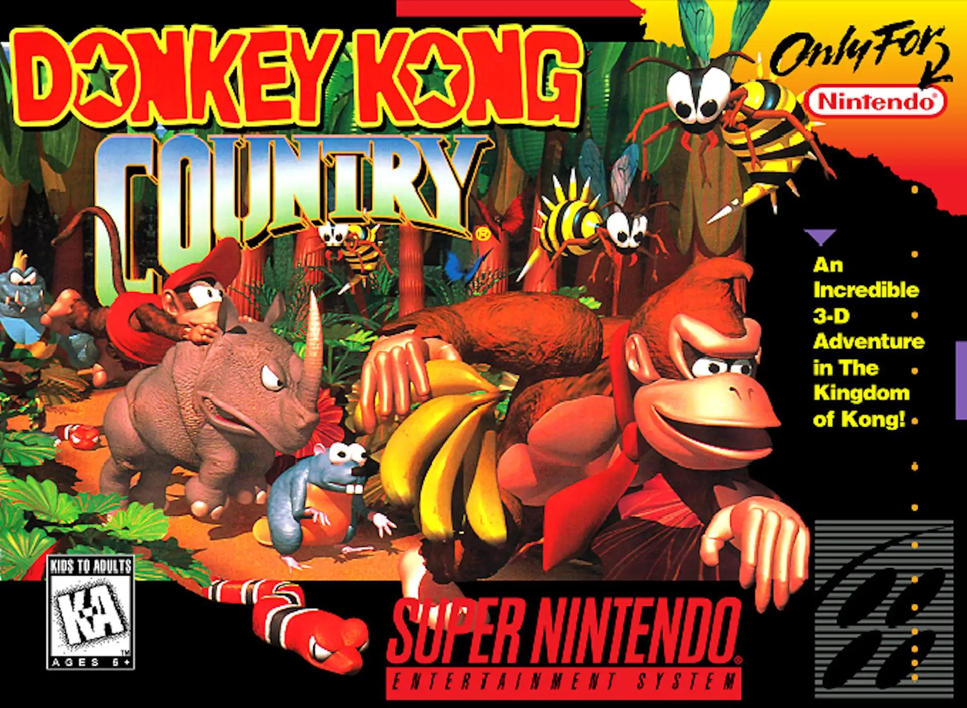 Donkey Kong Country Boitier de jeu SNES