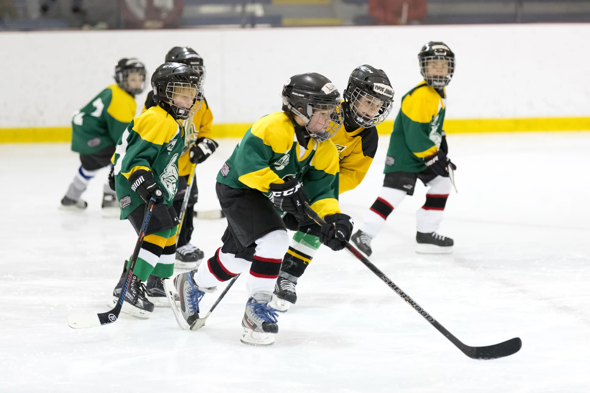 De futurs joueurs de la LNH. Plusieurs joueurs de hockey qui se disputent la rondelle