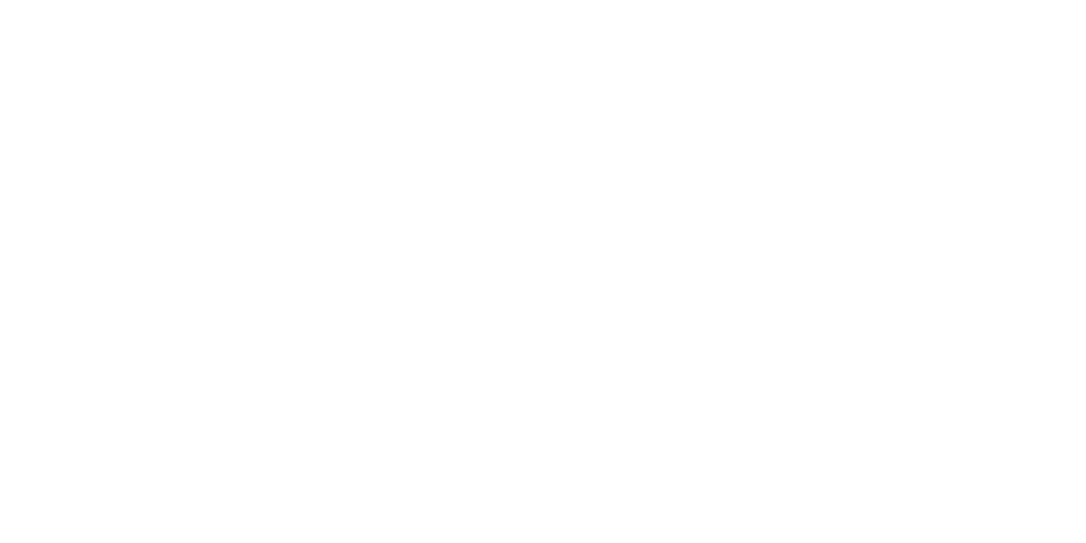 Logo du jeu The Legend of Zelda: Link's Awakening Logo de jeu avec palmiers et goélands